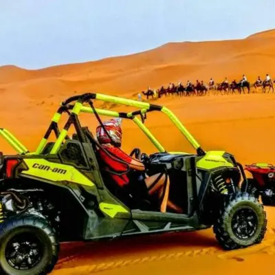 a person in an atv in the desert with horses at Luxury Camp Merzouga & Activities in Merzouga