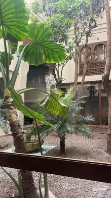 Gallery image of Riad D'or meknes in Meknès