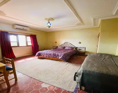 a bedroom with two beds and a rug at La Perle Du Drâa in Zagora
