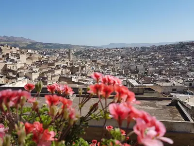 a view of a city with pink flowers in the foreground at Riad Souafine in Fès