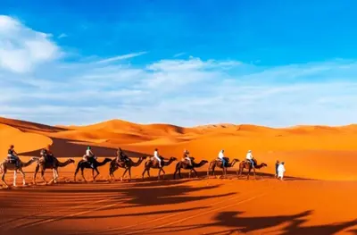 a group of people riding camels in the desert at Original Luxury Camp in Merzouga