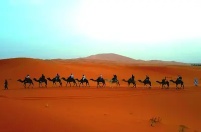 a group of people riding camels in the desert at Original Luxury Camp in Merzouga