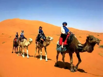 a group of people riding camels in the desert at Original Luxury Camp in Merzouga