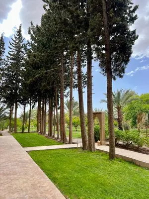 a path through a park with trees and grass at Kasbah des cyprès in Skoura