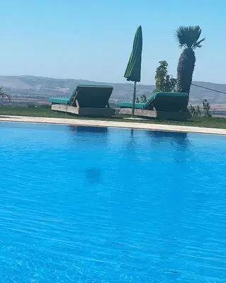 a large blue swimming pool with a palm tree at Bhalil Farm House in Sefrou