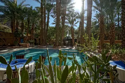 a swimming pool with palm trees in a resort at Kasbah Sirocco in Zagora