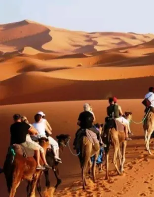 a group of people riding on camels in the desert at Merzouga Sahara Camp in Merzouga