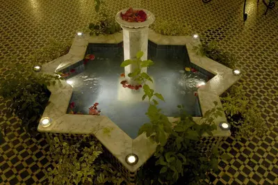 an overhead view of a pool of water with flowers at Riad Zamane Fès - Boutique & Spa in Fès