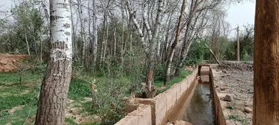 a stream of water in a forest with trees at Kasbah ait Moussa in Kalaat MGouna
