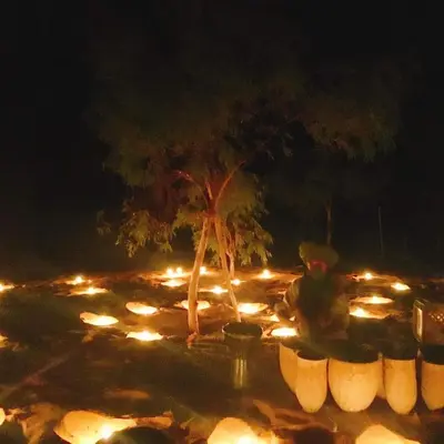 a night view of a park with a tree and lights at Hotel Riad Oasis in Merzouga
