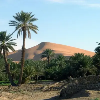 Hotel Riad Oasis