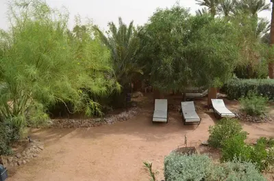 a group of benches sitting under a tree at Le Drom'blanc in Mhamid