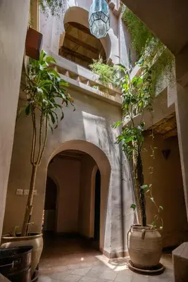 a hallway with potted plants and stairs in a building at Dar Bladi in Ouarzazate