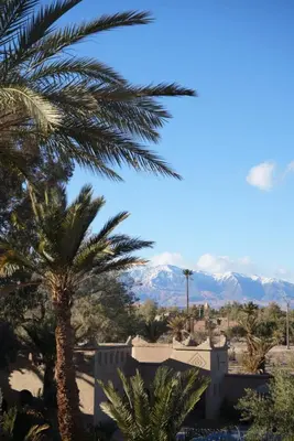 a palm tree with mountains in the background at Dar Es Salam in Skoura
