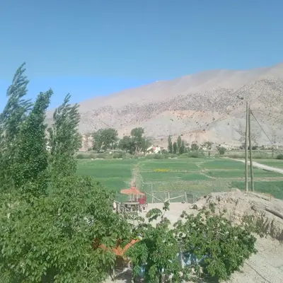 a field with trees and a mountain in the background at Auberge Ouabas in Agoudim