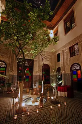 a building with a tree in the middle of a room at Riad Alya in Fès