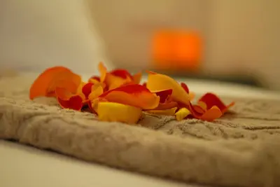 a flower on top of a piece of bread at Hotel & Spa Dar Bensouda in Fès