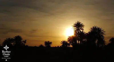 a sunset with palm trees in the foreground at Berber Oasis Camp in Kasr Bounou