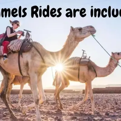 Desert Camp in Zagora - Camel ride - Easy & Affordable Stays